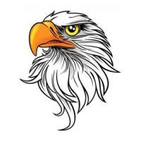 Suring school logo